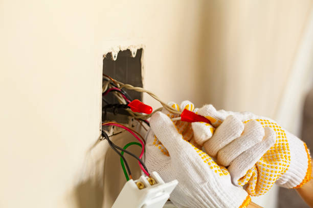 Best Electrical Panel Upgrades  in Heidelberg, TX